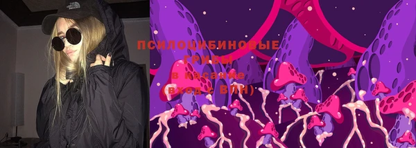 mdpv Вяземский