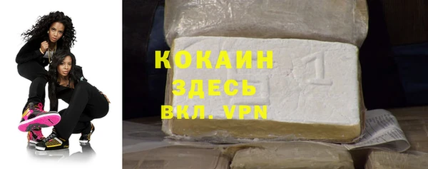 mdpv Вяземский